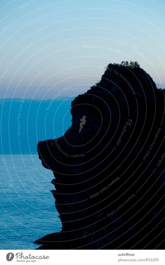 Ich? entrüstet? Kopf Nase 1 Mensch Felsen Wellen Küste Meer außergewöhnlich nerdig blau schwarz Gesteinsformationen Abend Dämmerung Nacht Silhouette