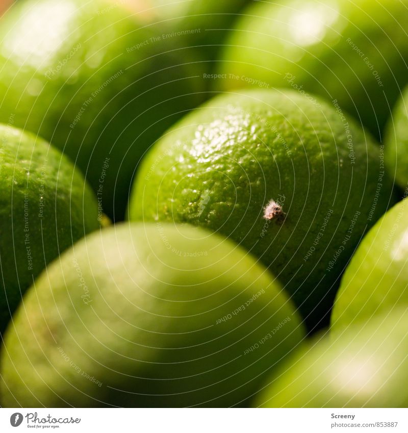 Denn sauer macht durstig... Lebensmittel Frucht Limone Ernährung rund grün porös Natur Farbfoto Nahaufnahme Makroaufnahme Menschenleer Kunstlicht Licht Schatten