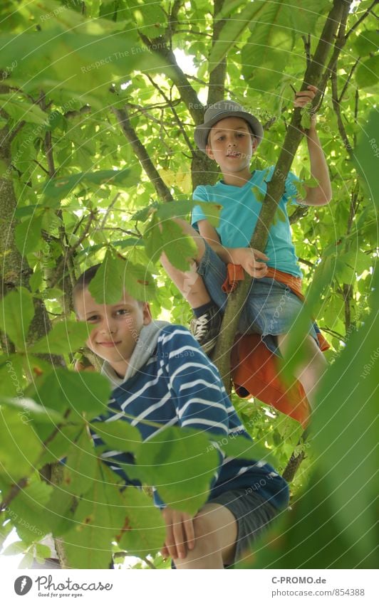 Jungs schauen durch Blätter vom Baum herunter Ausflug Abenteuer Freiheit Klettern Bergsteigen Mensch maskulin Kind Junge Geschwister Bruder Freundschaft 2
