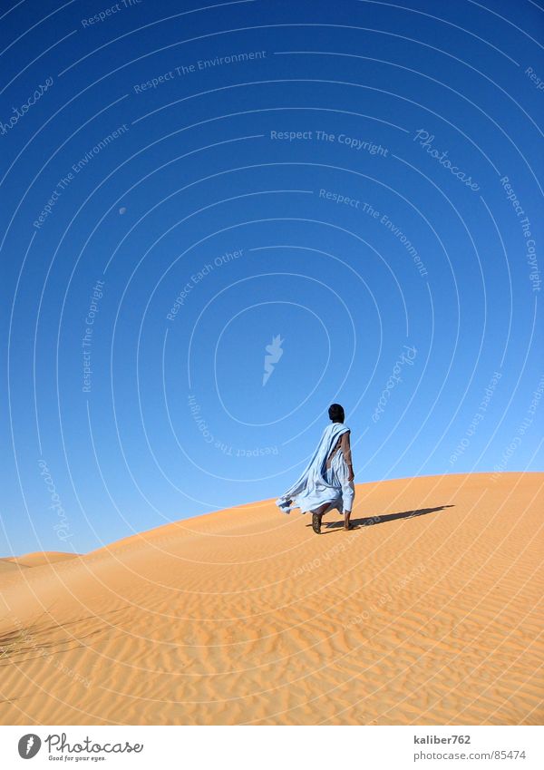Mahmoud's way Mauretanien Sehnsucht Einsamkeit Wüste Sahara Tuareg Stranddüne Spuren desert