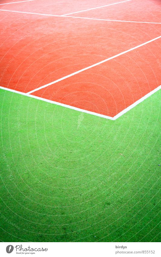 Tennisplatz rot-grün Sport Sportstätten Linie ästhetisch positiv Sauberkeit sportlich Design Farbe Leidenschaft Leistung Komplementärfarbe Spielfeldbegrenzung