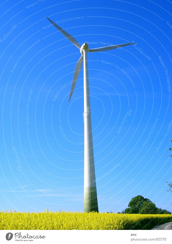 Windrad im Rapsfeld Sommer Windkraftanlage Himmel Natur Bewegung