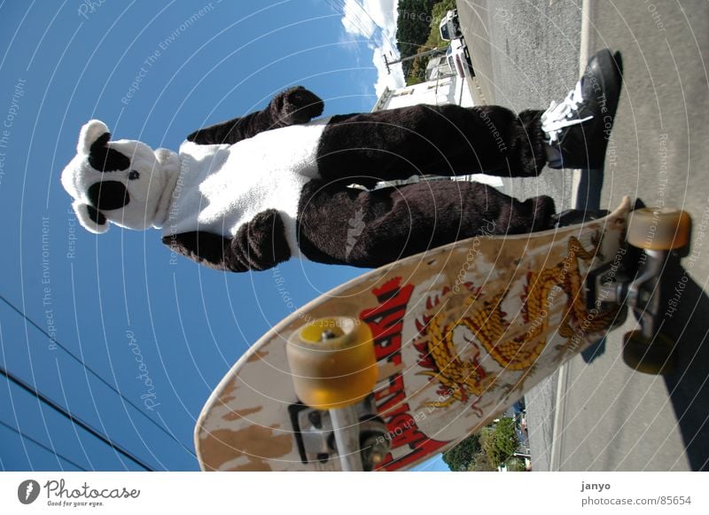 Skatebär Panda Skateboarding Sport Jugendkultur Funsport fun Karnevalskostüm