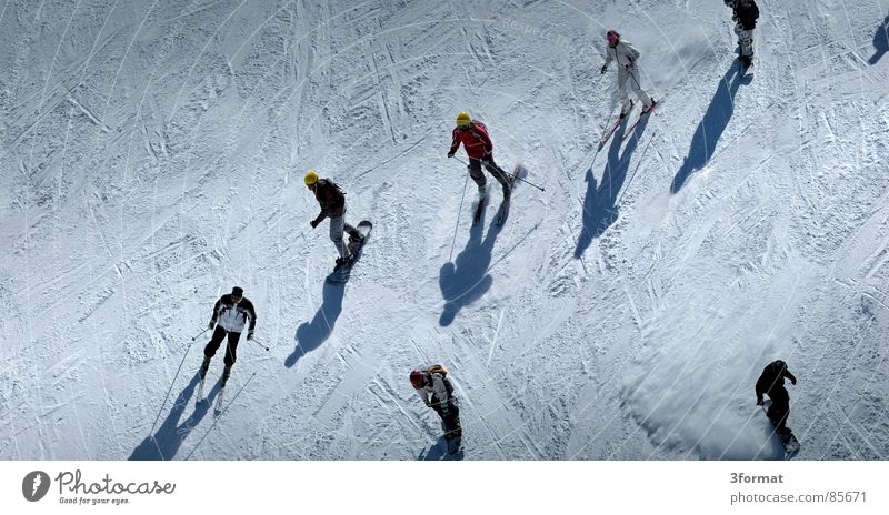 ski_vs_board Mittag Wintersport Ferien & Urlaub & Reisen Skifahrer Freizeit & Hobby Schatten Fahrer Rudel Menschengruppe Wettlauf Sport Spielen Aktion abfahrer