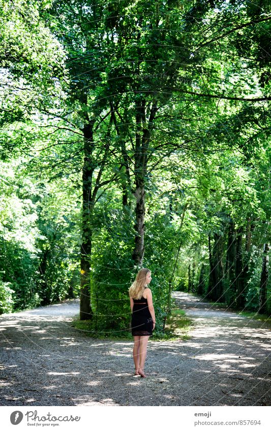 grün feminin Junge Frau Jugendliche 1 Mensch 18-30 Jahre Erwachsene Umwelt Natur Sommer Schönes Wetter Baum Grünpflanze Park Wald natürlich Wege & Pfade