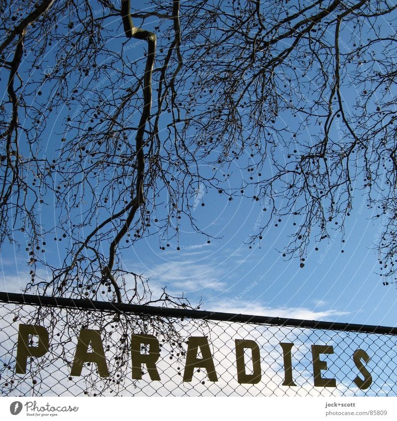 PARADIES: gefunden Stil Kultur Wolken Winter Zweige u. Äste Kleingartenkolonie retro blau Stimmung Solidarität Sehnsucht Frieden Idylle Paradies Ostalgie DDR