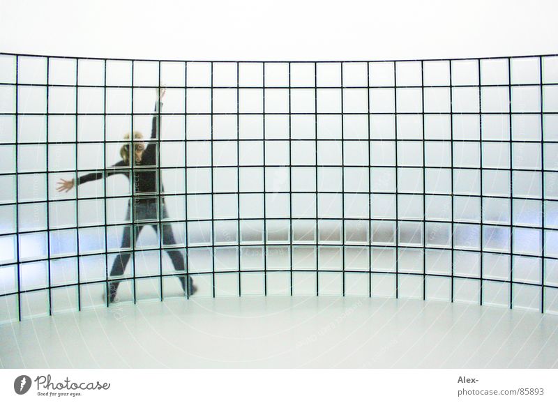 vernetzt Wand durchsichtig Wölbung Vernetzung Matrix Raster Vor hellem Hintergrund Glasbaustein Glaswand Frau Rückansicht strecken cyber Cyberspace virtuell