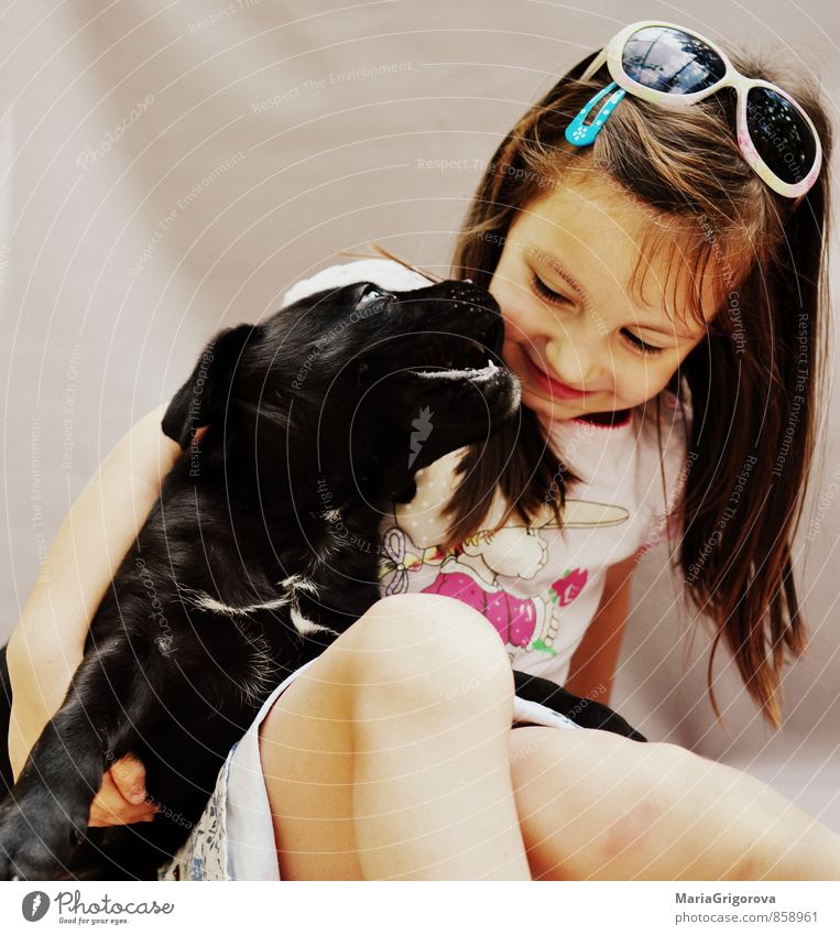 Glückliches Mädchen mit einem Hund Spielen Mensch feminin Kind Gesicht 1 3-8 Jahre Kindheit Tier Haustier genießen Küssen Liebe schön Gefühle Freude