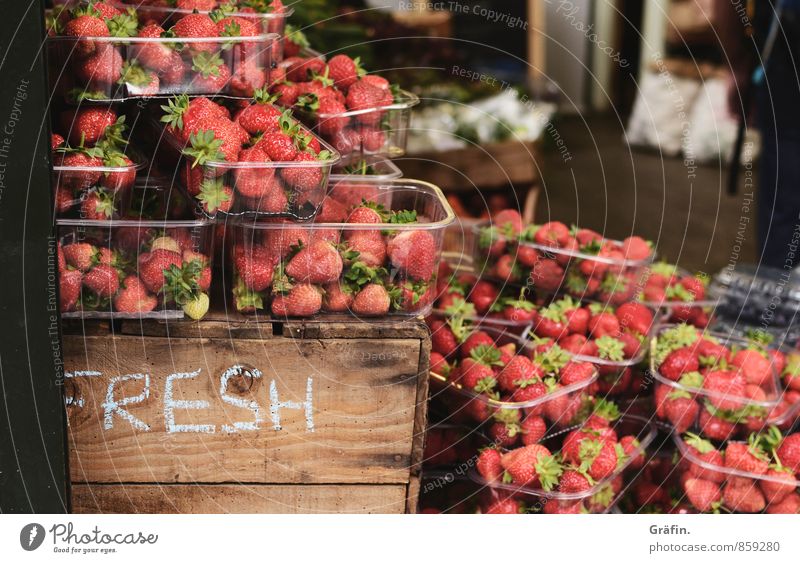 Erdbeerzeit Lebensmittel Frucht Ernährung Marktstand Handel Gastronomie Frühling Erdbeeren Kasten kaufen verkaufen frisch Gesundheit lecker braun rot Farbfoto