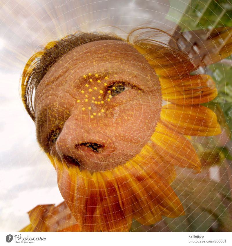 so nen´bart Mensch maskulin Gesicht 1 30-45 Jahre Erwachsene Umwelt Natur Pflanze Blume Garten Blühend Sonnenblume Bart Doppelbelichtung Sommer Farbfoto