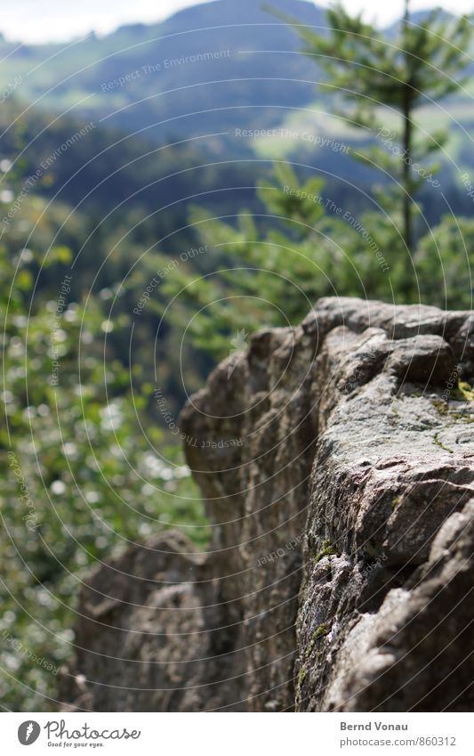Schauinsland Sommer Baum Wald Felsen Berge u. Gebirge Schwarzwald blau grau grün Felsvorsprung Tanne Blatt Aussicht Freizeit & Hobby wandern steil hart