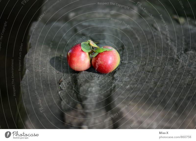 Zusammen Lebensmittel Apfel Ernährung Bioprodukte Vegetarische Ernährung Gesunde Ernährung Herbst Blatt frisch Gesundheit saftig Sauberkeit sauer süß 2 Zwilling