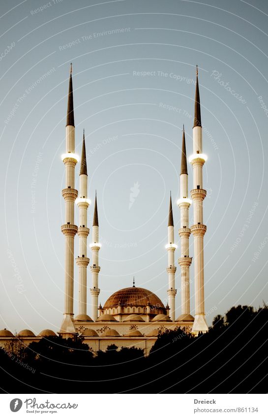 Moschee Architektur Kultur Stadt Hauptstadt Bauwerk Gebäude Minarett Kuppeldach Sehenswürdigkeit Stein groß blau braun gelb gold Religion & Glaube Gebet
