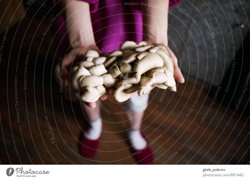 Doc #Pilze Lifestyle kaufen Küche Jugendliche Hand Finger Beine 1 Mensch 18-30 Jahre Erwachsene Diät gebrauchen Essen hängen Blick wild Pilzsuppe Austernpilz