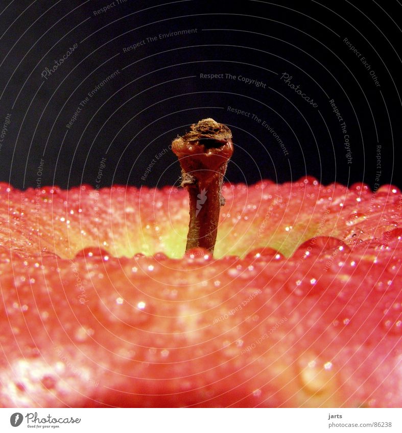 Frische Vitamine frisch Wassertropfen Gesundheit Obstbau Leben Frucht Makroaufnahme Nahaufnahme Apfel genießen jarts