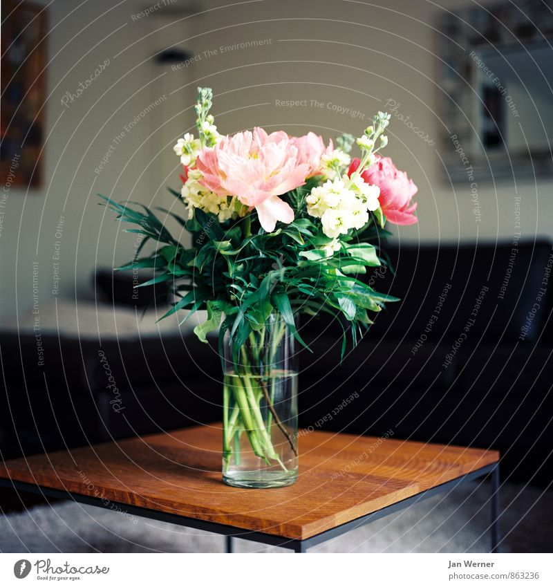 Blumen Lifestyle Stil harmonisch Wohlgefühl Zufriedenheit Häusliches Leben Wohnung Möbel Tisch Raum Wohnzimmer Valentinstag Muttertag Geburtstag Trauerfeier