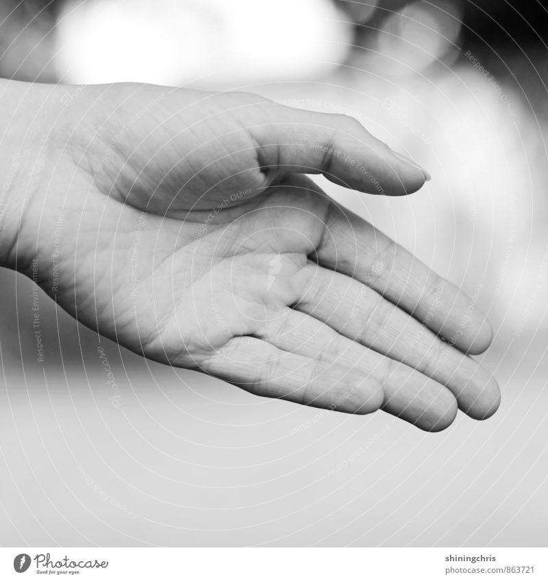 handshake feminin Frau Erwachsene Hand Finger 30-45 Jahre Erfolg grau schwarz weiß Willensstärke Mut Tatkraft Akzeptanz Vertrauen Sicherheit Einigkeit