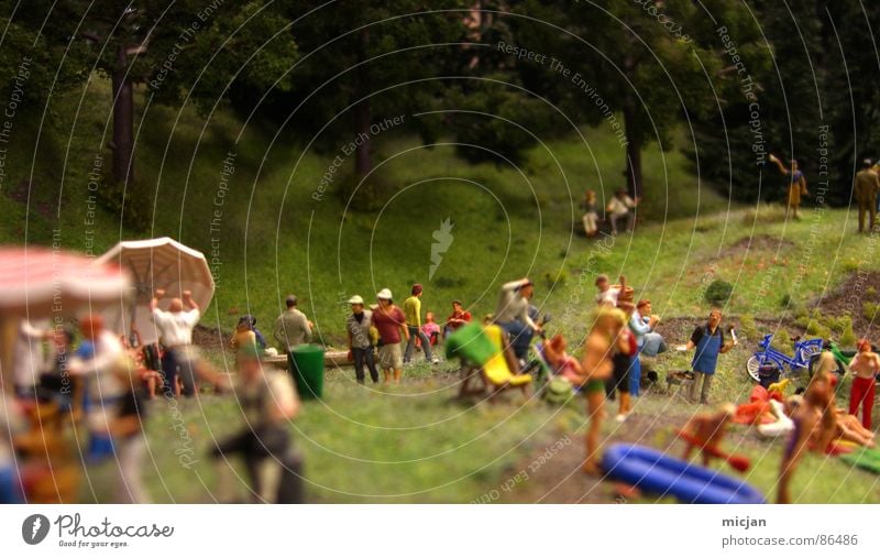 HEUTE: Ein Tag im Wald See Party Freundschaft Frau Mann Waldlichtung Waldrand Sonnenschirm grün Wiese Versammlung Feiertag Sommer gestellt klein