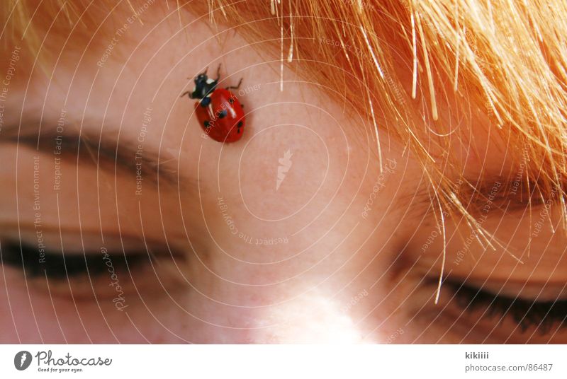 kitzelige angelegenheit Marienkäfer rot schwarz krabbeln blond braun Sommer Frühling Freundschaft Selbstportrait Freude zukneifen Punkt Kitzel Haare & Frisuren