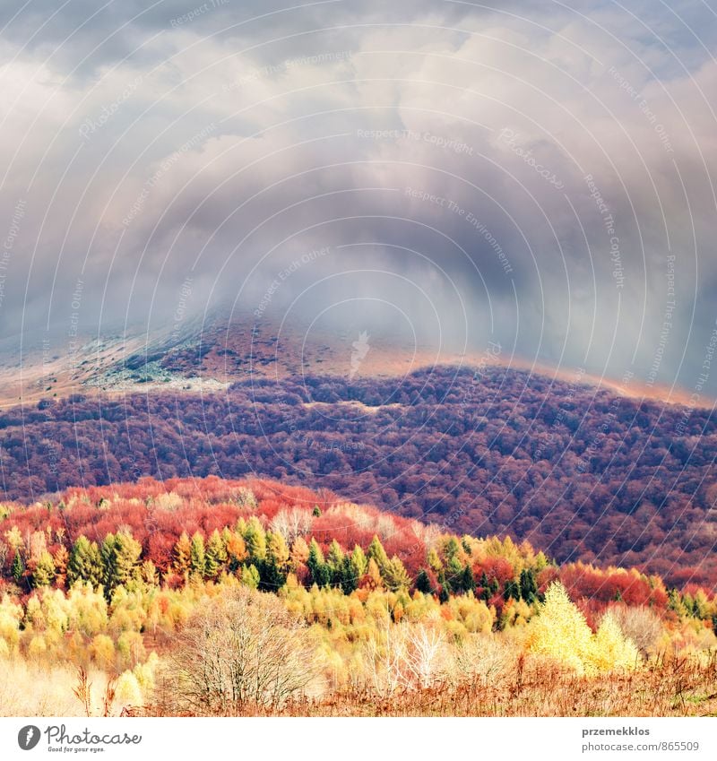 Sturmwolken über den Bergen Hügel Freiheit Berge u. Gebirge Natur Landschaft Wolken Herbst Unwetter Baum Gras Park Wiese Wald braun mehrfarbig gelb rot