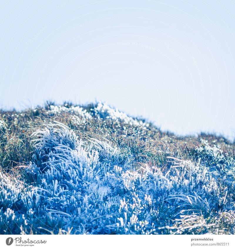 Gefrorenes Gras am Herbsttag in den Bergen Freiheit Winter Schnee Berge u. Gebirge Natur Landschaft Pflanze Himmel Park Wiese schön Sauberkeit blau Hintergrund