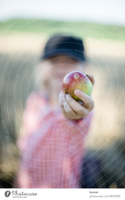 Angebot Lebensmittel Frucht Apfel Ernährung Bioprodukte Freizeit & Hobby Spielen Ausflug Mensch maskulin Junge Kindheit Hand Finger 1 3-8 Jahre Mütze blond
