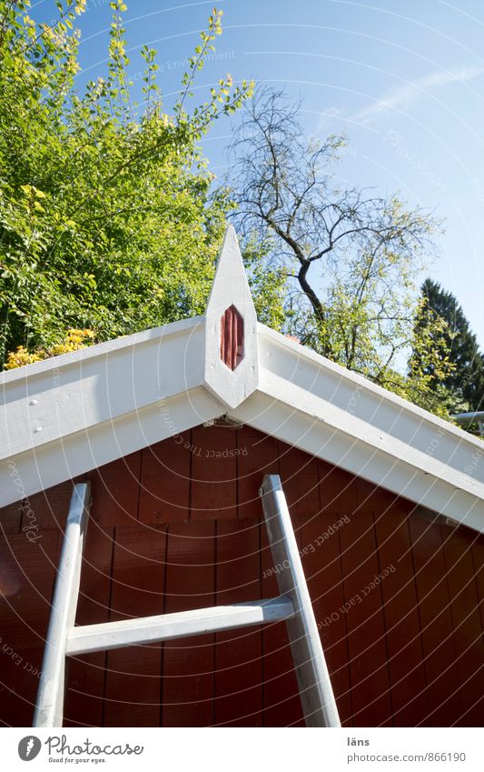 Karlsson hat Ausgang Haus Himmel Baum Garten Hütte Fassade Dach rot Farbe Leiter Leitersprosse Blick nach oben angelehnt Modernisierung Außenaufnahme