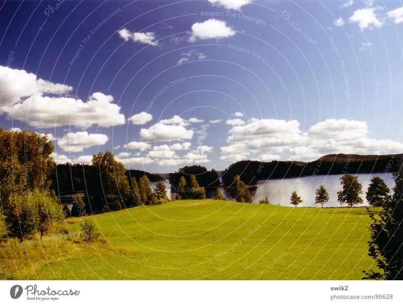 Dalsland, Westschweden Farbfoto mehrfarbig Außenaufnahme Menschenleer Textfreiraum oben Textfreiraum unten Tag Sonnenlicht Panorama (Aussicht) harmonisch