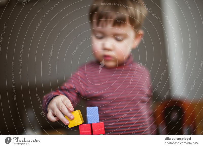 Babel Spielen Kindergarten lernen maskulin Kleinkind Junge Kindheit 1 Mensch 1-3 Jahre kurzhaarig Spielzeug bauen berühren rot geduldig Genauigkeit