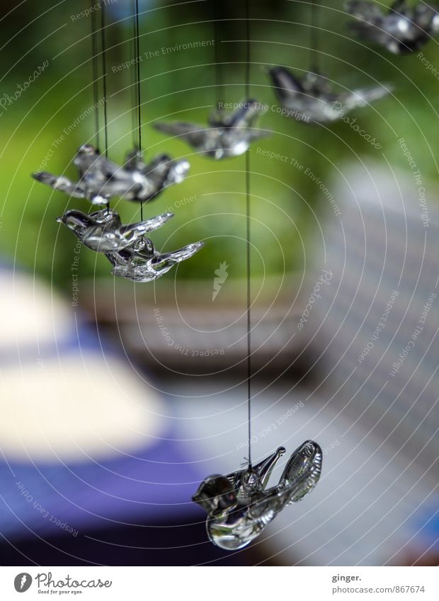 Geduld | Erstarrt vorm großen Flug Glas Kristalle fliegen hängen Vogel Figur Tisch Bank grün grau durchsichtig gestreift Nähgarn Schweben Mobile