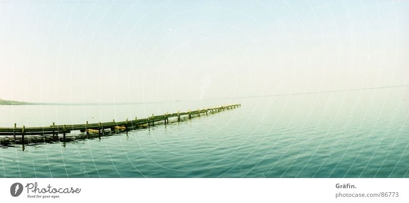 endlose Weite See Meer Teich Gewässer Wellen nass Steg Möwe Vogel Horizont Holz Anlegestelle grün Umweltschutz Unendlichkeit Panorama (Aussicht) fuji sensia