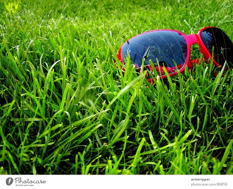 redrosefornose II mehrfarbig Sonnenbrille Brille Sommer Physik Sonnenbad Langeweile Freizeit & Hobby Wiese Durchblick Gras Erholung Ferien & Urlaub & Reisen