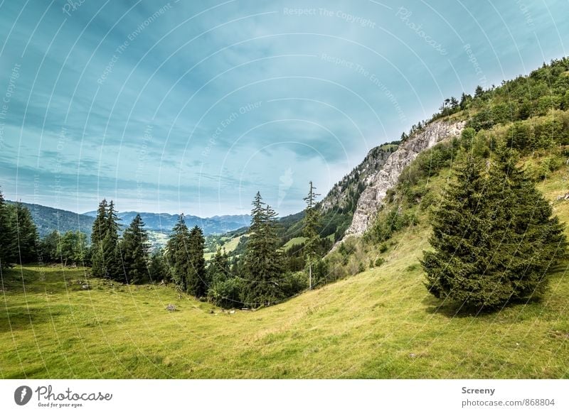 Blick ins Tal Natur Landschaft Pflanze Wolken Sommer Wetter Alpen Berge u. Gebirge Allgäu Allgäuer Alpen blau grün ruhig Weide Tanne Felsen Farbfoto