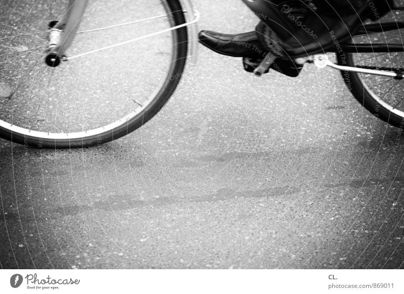 radeln Gesundheit sportlich Sport Fahrradfahren Mensch Leben 1 Verkehr Verkehrsmittel Verkehrswege Straßenverkehr Wege & Pfade Fahrradreifen Bewegung Fitness
