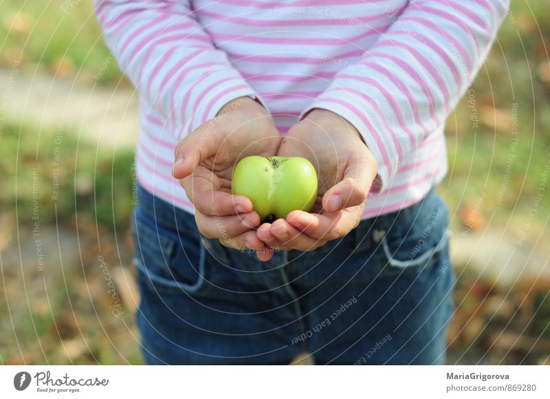 Kind hält grünen Apfel. Herdform Lebensmittel Frucht Bioprodukte Lifestyle schön Garten Mensch Mädchen Körper Hand 1 Natur Urelemente Herbst Diät festhalten