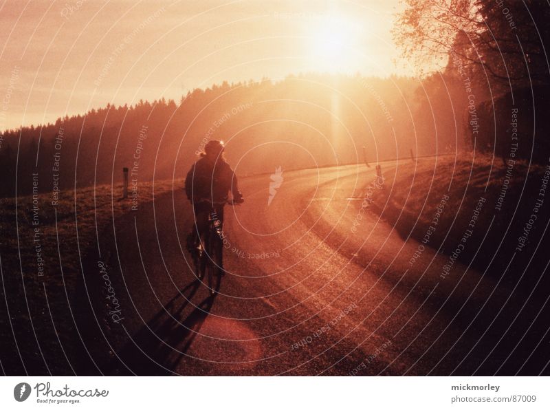 sonnenrad Fahrradfahren Sonnenuntergang Sonnenaufgang Wald rot gelb Freizeit & Hobby Straße orange downhill BMX Ausflug Landschaft