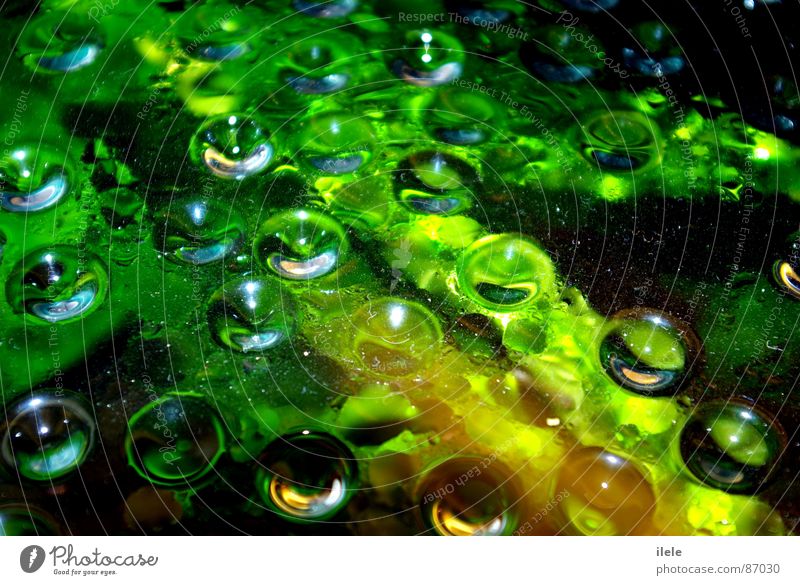 über dem wasser...~nanana~ nass grün rege Wunder schön Aquarium hellgrün Wasser Mineralwasser Umwelt attraktiv himmlisch feucht Elektrizität aquatisch Freude