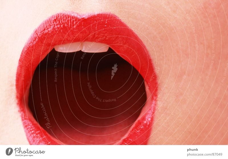 lippencloseup # Lippen rosa rot weich Lippenstift Frau feminin verführerisch extrem Küssen knackig Lipgloss bissfest Härchen Aufgabe Haare & Frisuren