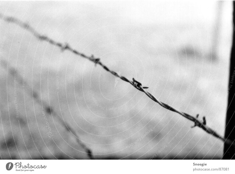 barbed wire of death Stutthof Konzentrationslager Polen Sehenswürdigkeit Denkmal Stahl Traurigkeit Aggression gruselig grau schwarz weiß Gefühle Angst Entsetzen