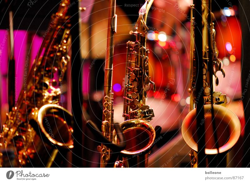Trio Musikinstrument Saxophon Jazz Konzert Kunst musizieren Gebet Licht Stimmung Klang Ton Kultur Spielfreude Blasinstrumente zupfen Spielen Saite Musikfestival