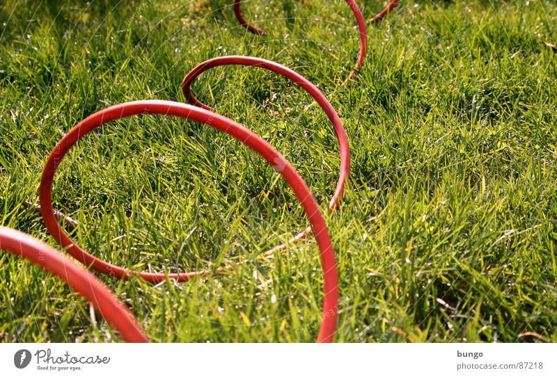 ... rollin', rollin', rollin'! Kabel Gras Wiese Sommer Frühling Halm Untergrund Elektrizität Arches National Park springen Anschluss verbinden Verbindung