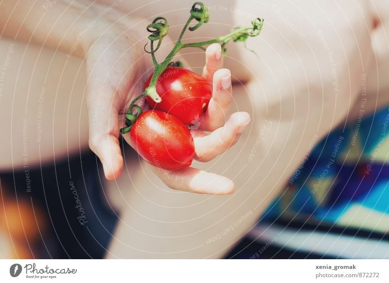 Tomaten Lebensmittel Gemüse Ernährung Mittagessen Picknick Diät Fingerfood Italienische Küche Lifestyle Gesundheit Fitness Freizeit & Hobby