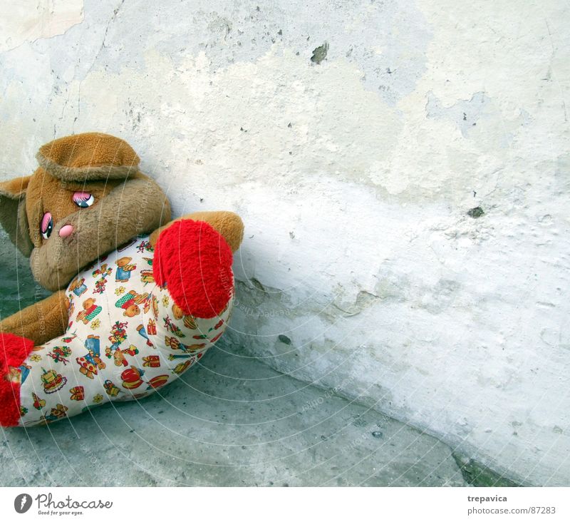 baerchen Fell klein aufwachen süß Spielzeug Beton rustikal Zeit Wand vergessen Trauer Tier retro Haus verloren Spielen Einsamkeit Dinge 1 vergessen werden Puppe