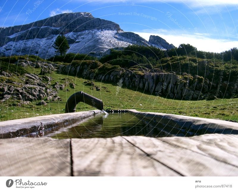 Erfrischung Trog Bundesland Tirol Alm Berge u. Gebirge alpen erfrischung Wasser Natur Niveau