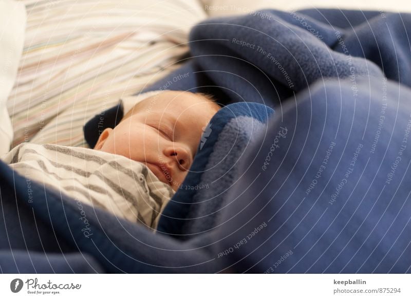 Baby schläft Mensch feminin Körper Kopf 1 0-12 Monate liegen schlafen träumen blau Sicherheit Farbfoto Innenaufnahme Textfreiraum rechts Tag Licht