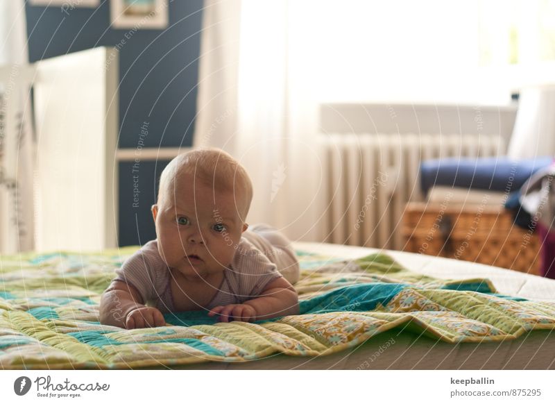 Baby auf dem Bett Mensch feminin Kindheit Körper Kopf Gesicht 1 0-12 Monate krabbeln liegen entdecken Farbfoto Innenaufnahme Textfreiraum rechts Tag Licht