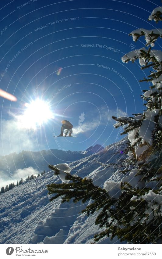 Sprung in die Freiheit Wintersonne Tanne Pulverschnee weiß Schnee Snowboarder Snowboarding Freestyle Sonnenstrahlen Gegenlicht Körperhaltung hoch weit Mut