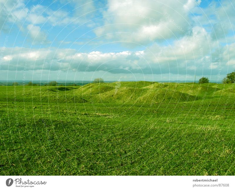 nächster halt: hobbitland Auenland Wiese Gras gelb grün Alm kurz Sportrasen Golfplatz Frühling schön Feld Sträucher Strukturen & Formen Landwirtschaft Weide