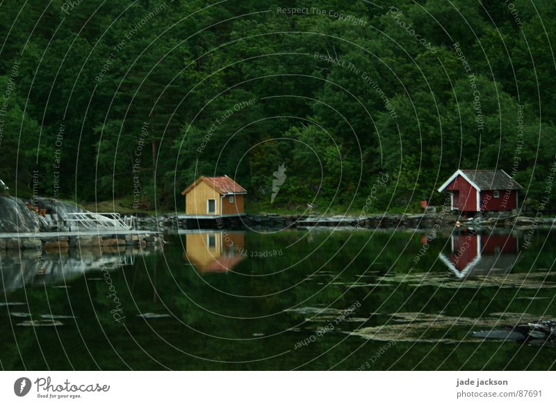 loneliness Haus Wald Idylle mystisch Norwegen Einsamkeit Denken Romantik Erholung Terrasse Stuhl Wasser Landschaft strange