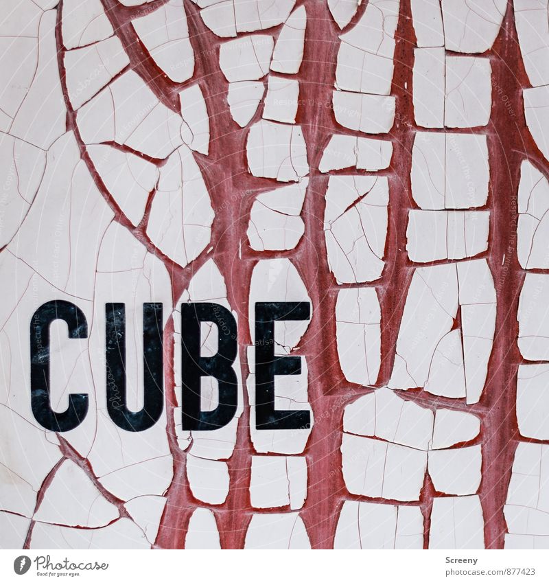 Cube in the Q | UT Köln Container alt rot schwarz weiß Verfall Vergänglichkeit Farbstoff Farben und Lacke Schriftzeichen Riss abblättern Farbfoto Außenaufnahme